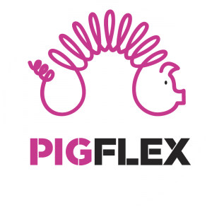 PigFlex - Agencia Digital